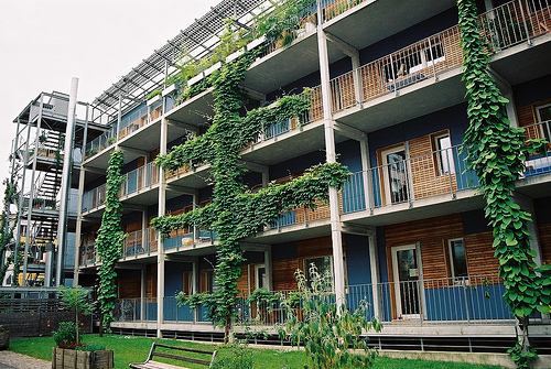 Baugruppen: Instant Community (Just Add Water)