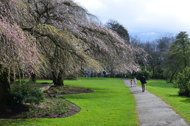 What We’re Reading: 50 Shades of Green