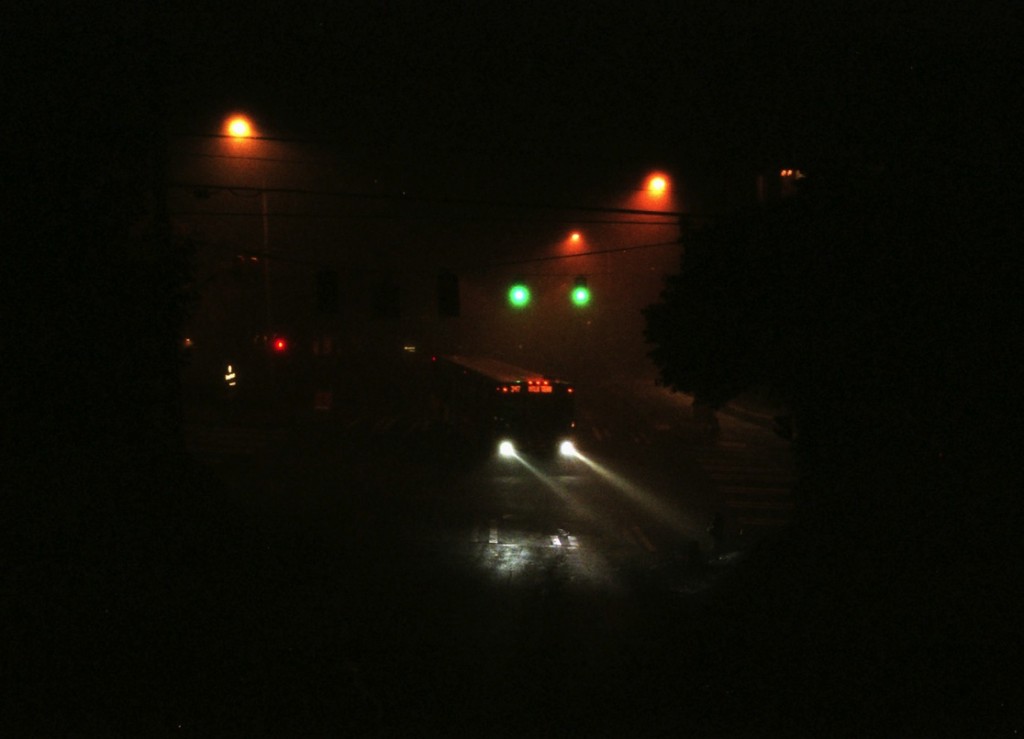 Magic Hour: Spinach, Belonging, Politics, Visions