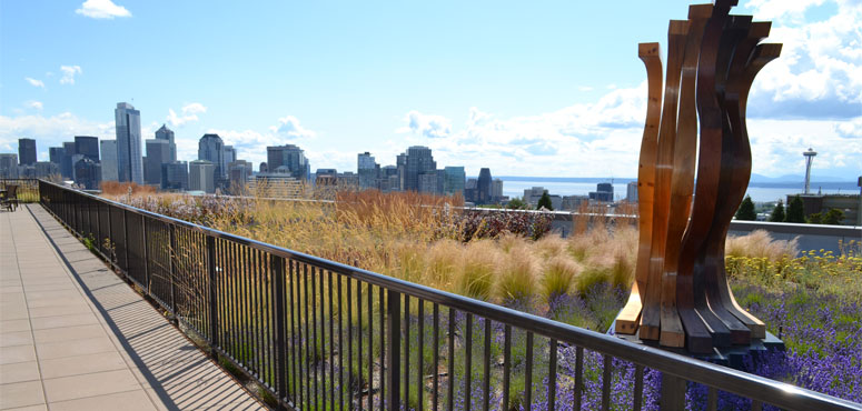Waterfront, Delridge and Ballard Updates