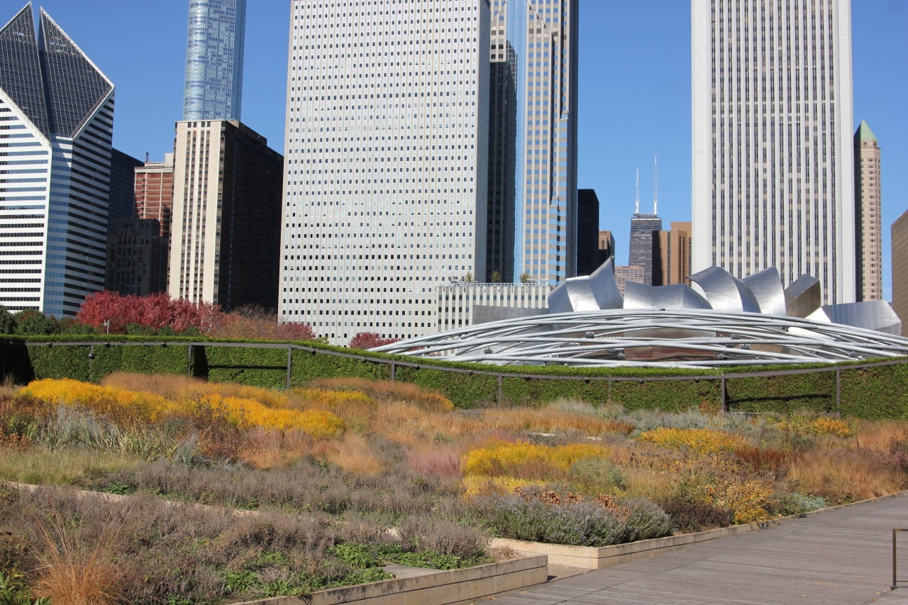 Fridaygram: From Railway Yards and Dilapidated Parking Lots to Millennium Park