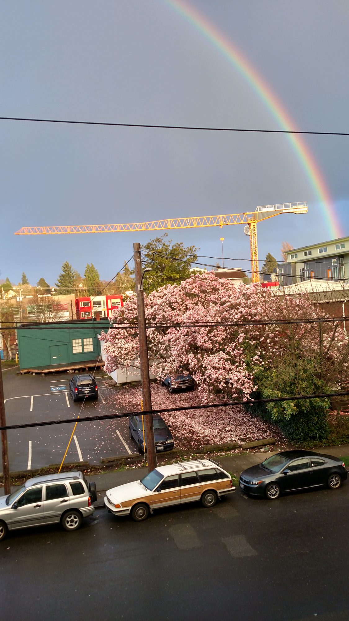 The Relationship Between Parking, Urban Trees and Affordability