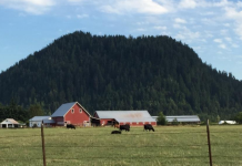 Washington Republicans Mount All-Out Assault On Growth Management