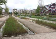 Housing Policy Lessons From Vienna: Part I