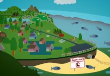 Sunday Video: Stormwater Pollution and Green Infrastructure Solutions