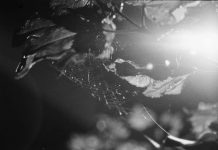 358 Thoughts (on the 348)