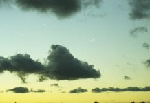 The Principled Gesture