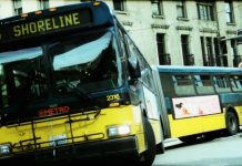 Nathan’s Bus: The Perspicacious Hairdresser