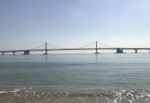 What We’re Reading: New Fast Ferry, Poaching Riders, and Parking E-Scooters