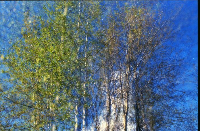 Screen shot 2018-12-20 at 11.52.16 AM