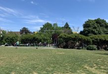 Seattle Scores 11th in Nation for 2019 ParkScore Index