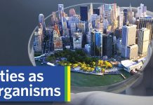 Sunday Video: Are Cities Like Organisms?