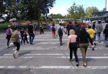 Seattle’s Pedestrian Safety Crisis Escalates in First Half of 2019