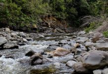 Wonkabout Washington: Equity in SEPA Reform, Improving Watersheds in Port Angeles