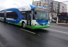 What We’re Reading: Merging Everett Transit, Coastal Growth, and Urban Canopy