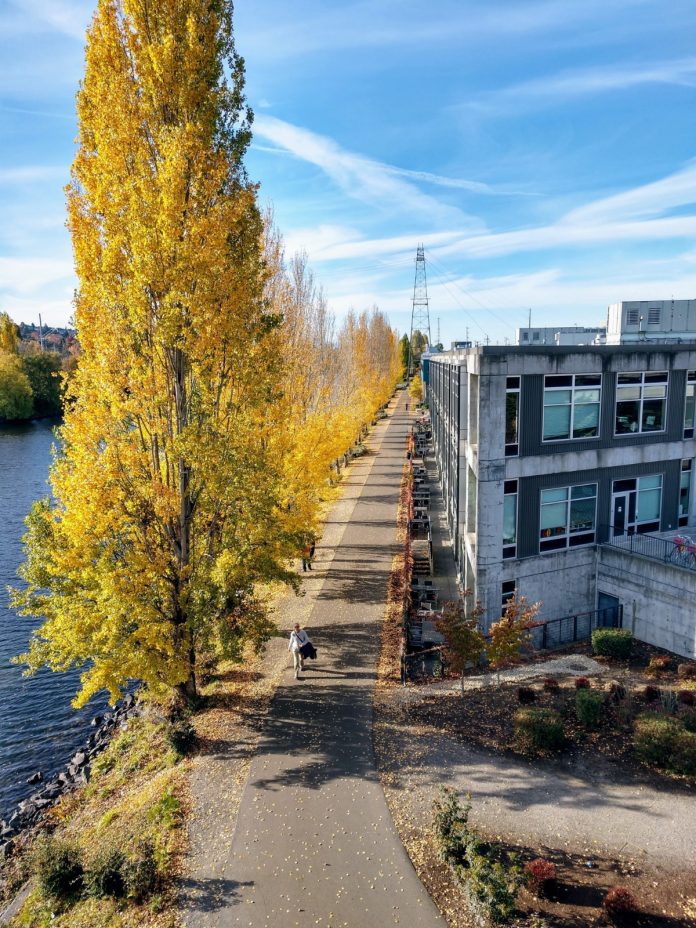 IMG_20191030_152244477_HDR Burke Gilman Trail from the Fremont Bridge. (Photo by author)