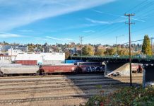 The BINMIC Industrial Plan is Dead BNSF Railyard in Interbay. (Photo by Doug Trumm)
