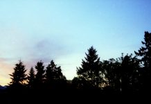 The Good Neighbor