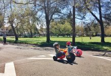 The Secret to Seattle’s Success is Social Infrastructure, not Low Taxes Two young kids on trikes in an open street.