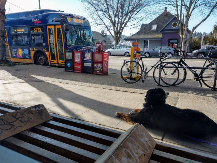 Route 40 with waiting dog A dog is leashed to a bench next to a busy bike rack and row of newspaper machines as a Route 40 bus approaches.