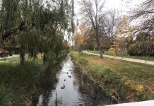 What We’re Reading: PDX BRT, Preserving Affordable Housing, and E-Scooter Crashes