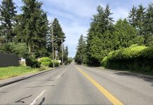 Dubicki: Do Not Make Seattle Its Own County Shoreline-Seattle Boundary