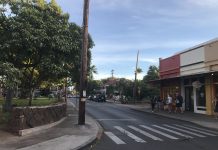 What We’re Reading: Just Peachy, Empty Streets, and Missing Link Saga
