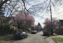 What We’re Reading: Racial Justice Lens, Incentives for Rezoning, and Bygone Era