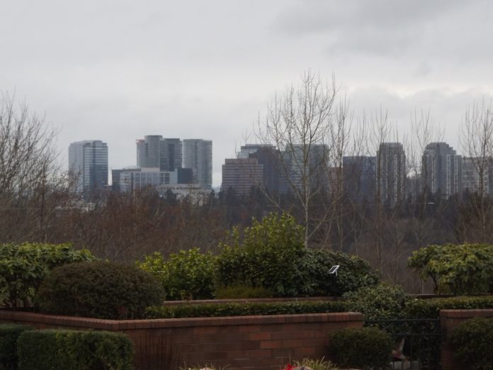 Bellevue on a cloudy day A row of skyscrapers behind a row of trees at a Bellevue park.