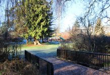 Shoreline Sends Parks Expansion to April 27th Ballot