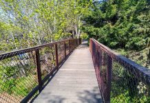 SDOT Considers Options for Replacing Bridge Connection to Ballard Locks