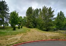 How WSDOT Has Blocked Completion of the Rainier Valley Greenway for Years