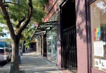 In Order to Achieve Tree Equity, the U.S. Must Plant 522 Million Trees in Urban Areas