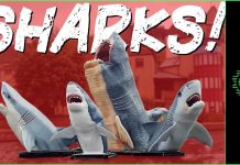 Midweek Video: The Battle of SHARKS!