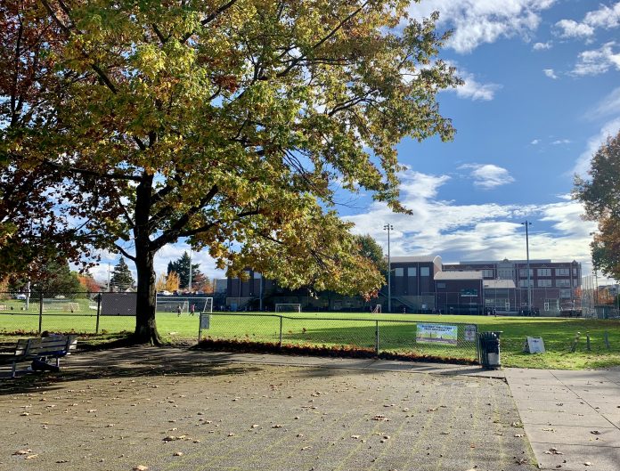 Future Garfield Super Block A photo of a tall tree and a paved area next to a large playfield.