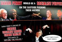 Seattle Times Rescinds Kathy Lambert Endorsement Over Racist Mailer