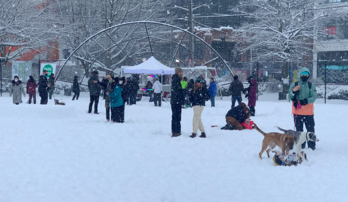 Cal Anderson park snow DJ A photo of people and dogs in a park in the snow.