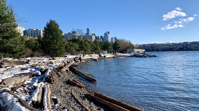 Myrtle Edwards Park Seattle A photo of a beach with driftwood and snow.