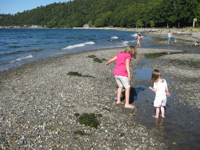 Kids on Seahurst Park Beach A photo of two young children on a beach with more children visible in the distance.