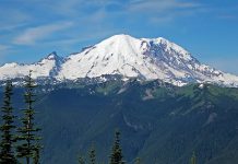 The Urbanist Podcast: A Rainier By Any Other Name A view of a snow capped mountain behind evergreen trees