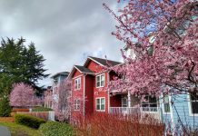 The Seattle Region Must Embrace Housing Abundance
