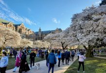 Kicking Off Our Spring 2023 Subscriber Drive Dozens and dozens crowd the brick paths and grassy lawns of the Quad with the cherry blossoms peaking above them and brick dormitories and lecture halls in the background.