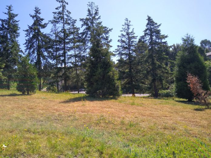 Rainier Greenway 2022