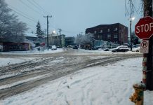 Progressive Seattle Enters a Fallow Season