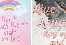Connecting DNR’s “Many Great Stories to Tell” Through Amazing Social Media Cute Twitter posts, one rainbows saying "Don't set the state on fire." The other a leaping salmon saying "Live, laugh, lay eggs, and die."