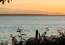 Congress Approves Record $54 Million for Puget Sound Recovery