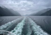 Summer in the Inside Passage: Riding the Alaska Ferry