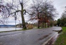 Promised Lake Washington Boulevard Traffic Calming Remains Uncompleted