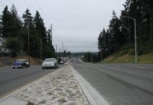 Pierce County Republicans Try to Bury Vision Zero Safety Action Plan