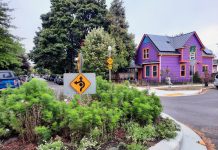 Tacoma Voters Narrowly Reject Levy in Street Safety Setback A roundabout is filled with green plants and is surrounded by fresh concrete and new curb curb cuts. It's a residential neighborhood with a purple single family house on the corner.